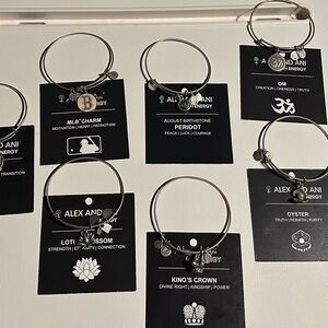 Alex and Ani Silver Charm Bracelet